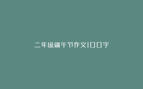 二年级端午节作文100字