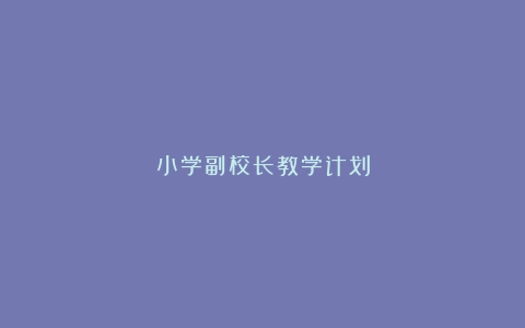 小学副校长教学计划