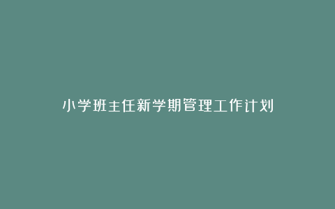 小学班主任新学期管理工作计划