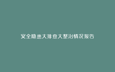 安全隐患大排查大整治情况报告