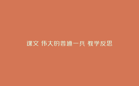 课文《伟大的普通一兵》教学反思