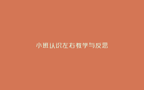 小班认识左右教学与反思