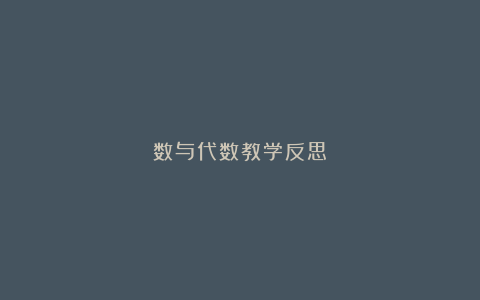 数与代数教学反思