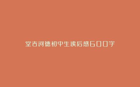 堂吉诃德初中生读后感600字