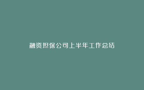 融资担保公司上半年工作总结