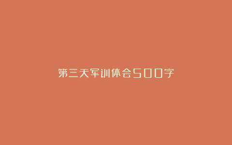 第三天军训体会500字