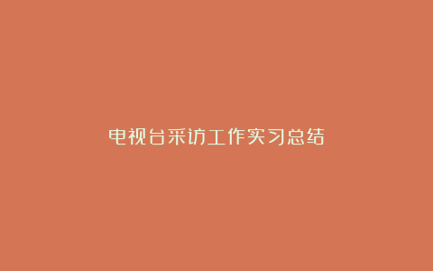 电视台采访工作实习总结