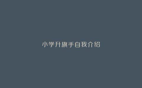 小学升旗手自我介绍