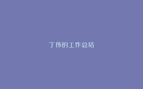 丁伟的工作总结