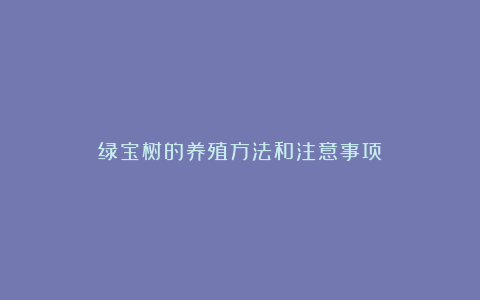 绿宝树的养殖方法和注意事项