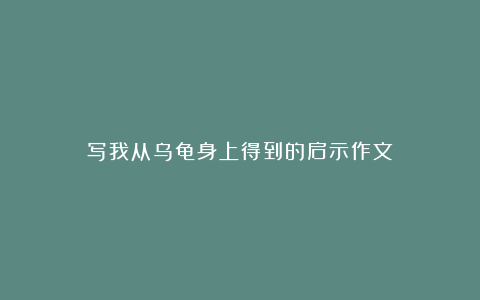 写我从乌龟身上得到的启示作文