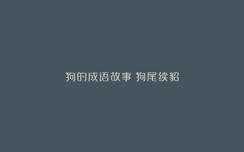 狗的成语故事：狗尾续貂