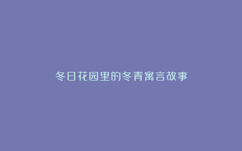 冬日花园里的冬青寓言故事