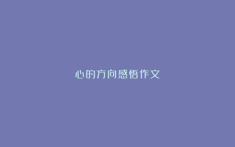 心的方向感悟作文