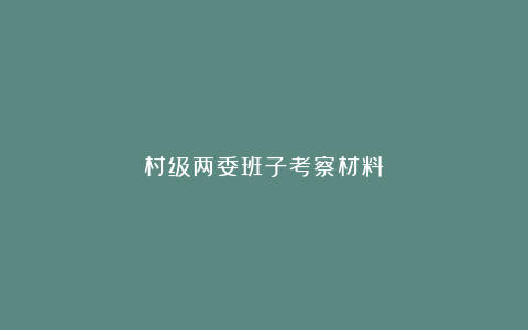 村级两委班子考察材料