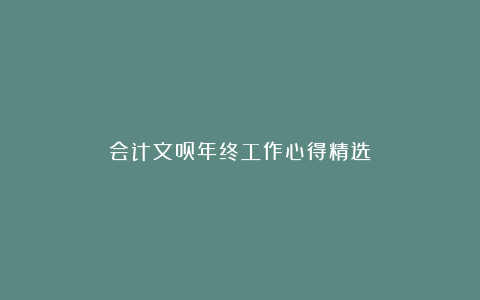 会计文员年终工作心得精选