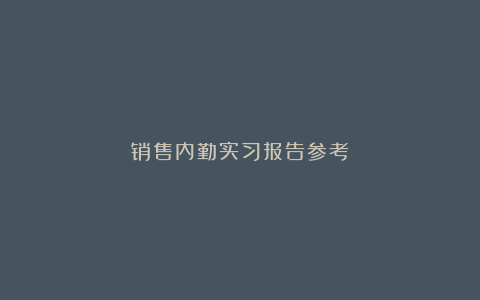 销售内勤实习报告参考