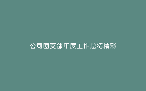 公司团支部年度工作总结精彩