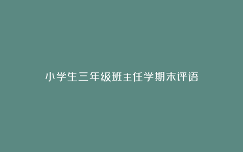 小学生三年级班主任学期末评语