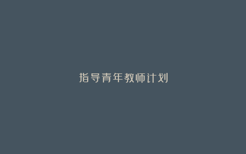 指导青年教师计划