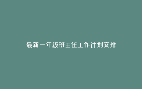 最新一年级班主任工作计划安排