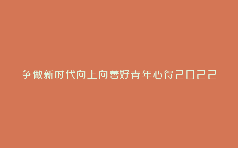 争做新时代向上向善好青年心得2022