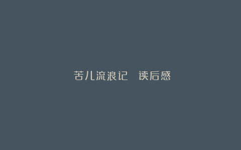 《苦儿流浪记》 读后感