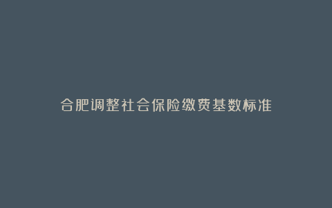 合肥调整社会保险缴费基数标准