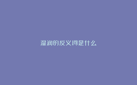 湿润的反义词是什么