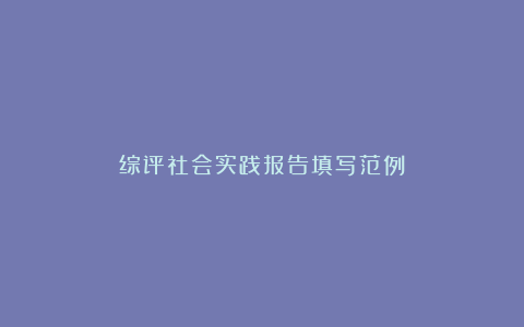 综评社会实践报告填写范例