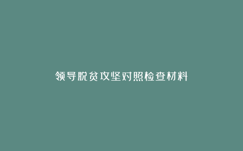 领导脱贫攻坚对照检查材料