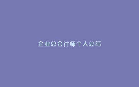 企业总会计师个人总结