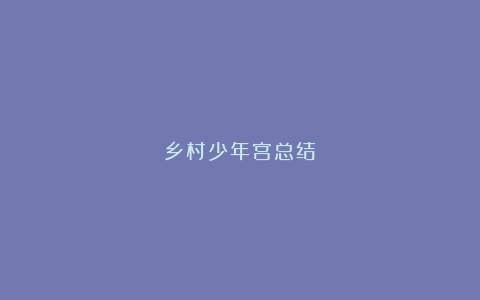 乡村少年宫总结