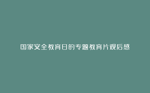 国家安全教育日的专题教育片观后感