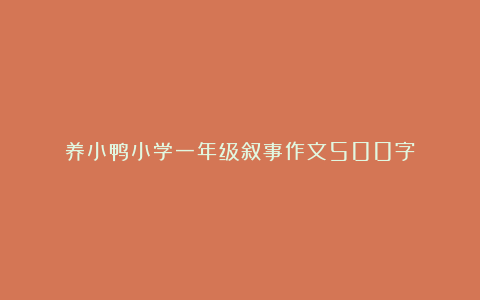 养小鸭小学一年级叙事作文500字