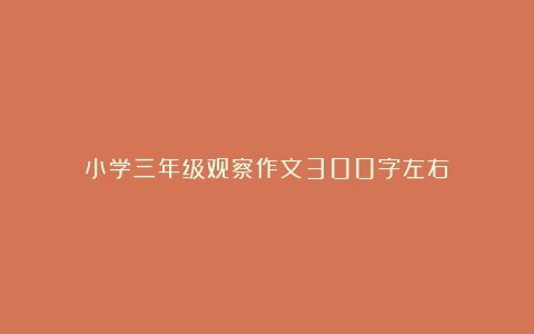 小学三年级观察作文300字左右