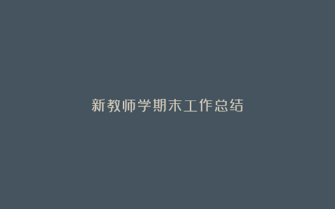 新教师学期末工作总结