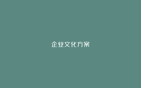 企业文化方案