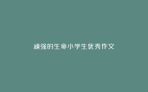 顽强的生命小学生优秀作文