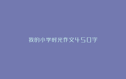 我的小学时光作文450字