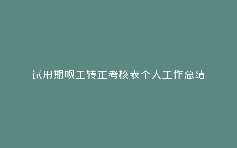 试用期员工转正考核表个人工作总结