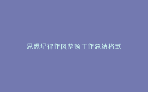 思想纪律作风整顿工作总结格式