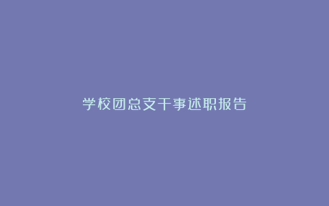 学校团总支干事述职报告