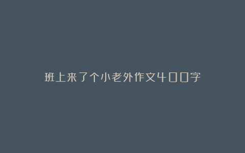 班上来了个小老外作文400字