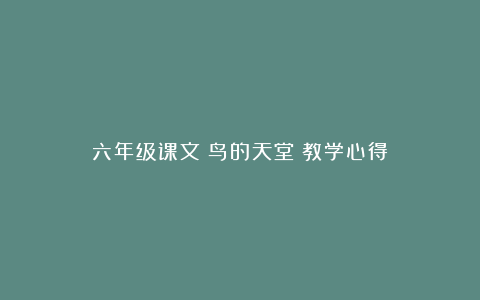 六年级课文《鸟的天堂》教学心得