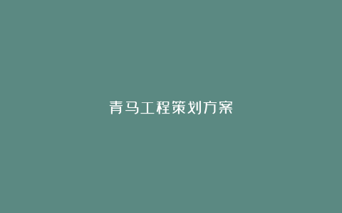 青马工程策划方案