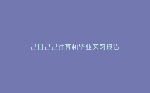 2022计算机毕业实习报告