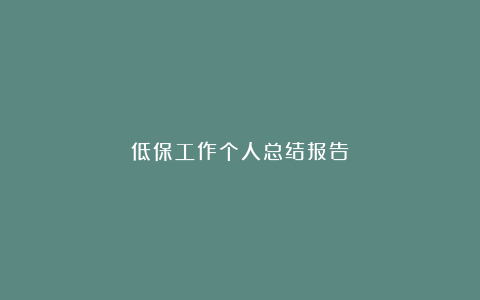 低保工作个人总结报告