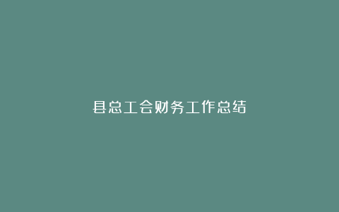 县总工会财务工作总结