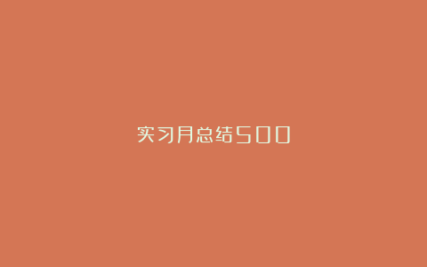 实习月总结500